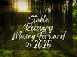 穩(wěn)健復蘇，2025向前行                                                                                                                                          